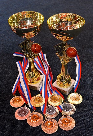 Финальные игры "Кубка УГМК" пройдут в ДИВСе Финальные игры "Кубка УГМК" пройдут в ДИВСе