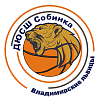 Собинка ДЮСШ "Владимирские львицы"